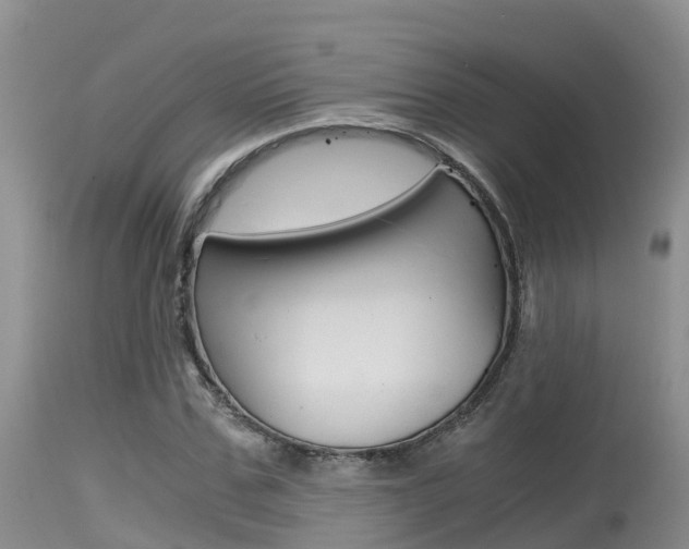 X0000115480971200911061021