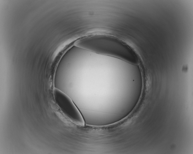 X0000115480973200911061021
