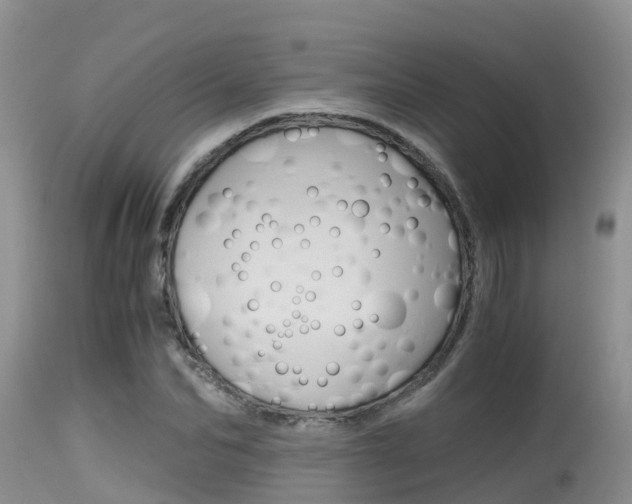 X0000115480974200911061021