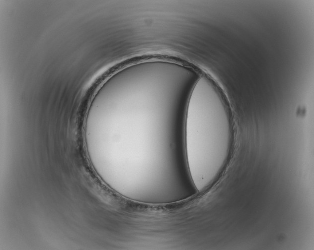 X0000115480975200911061021