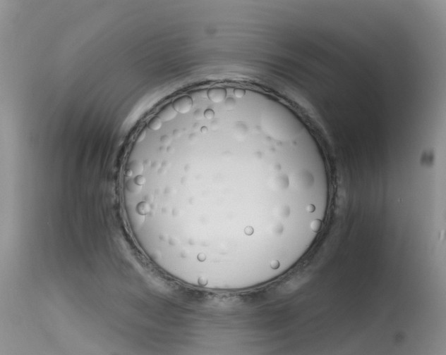 X0000115480978200911061021
