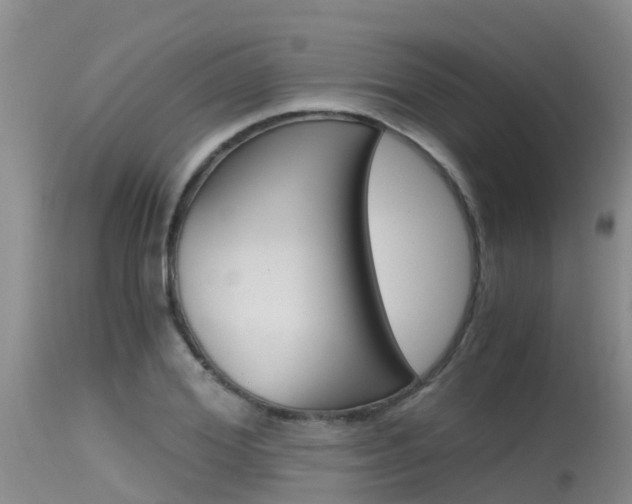 X0000115480980200911061021