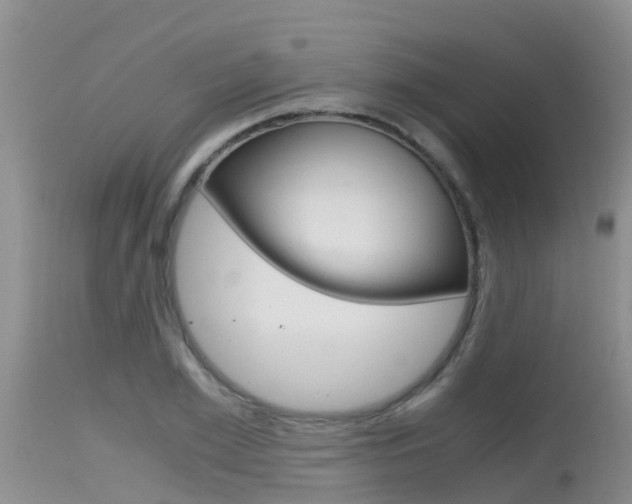 X0000115480981200911061021