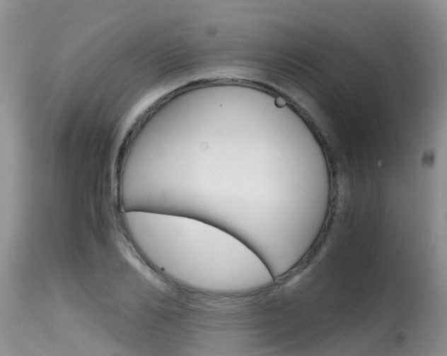 X0000115480982200911061021