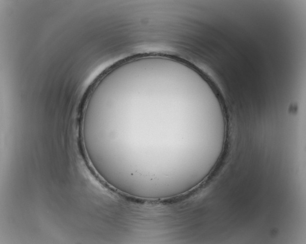 X0000115480983200911061021