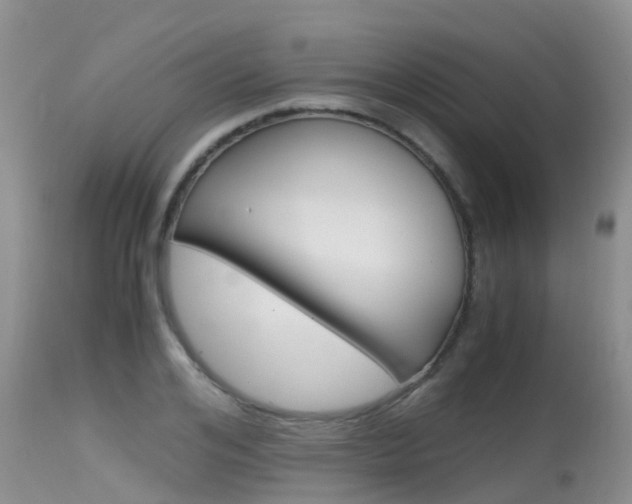 X0000115480984200911061021