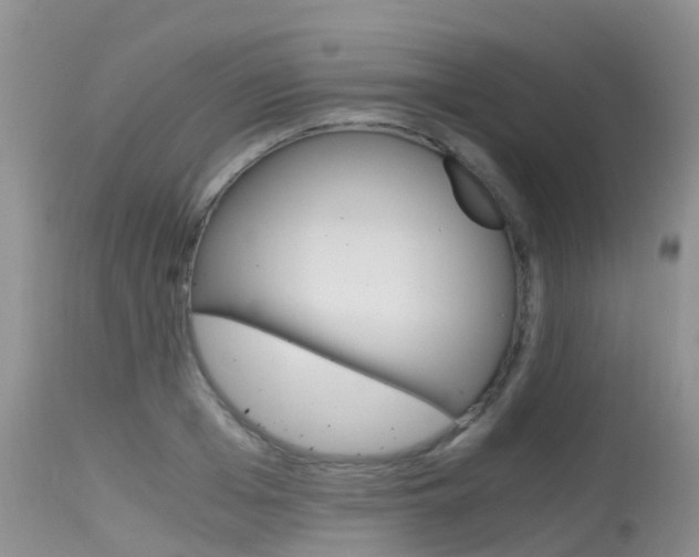 X0000115480985200911061021