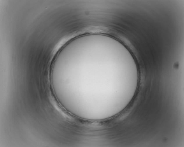X0000115480986200911061021
