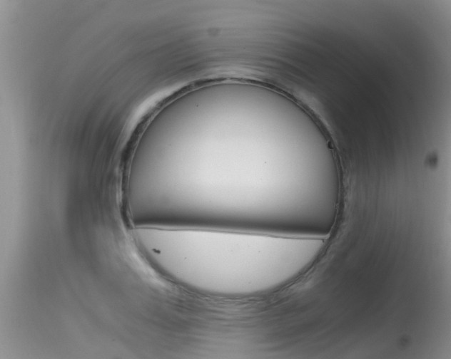 X0000115480987200911061021