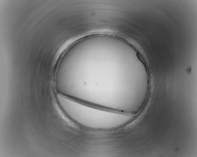 X0000115480989200911061021
