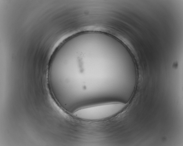X0000115480992200911061021