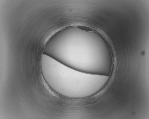 X0000115480993200911061021