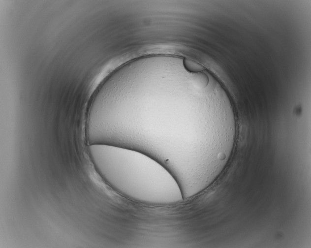 X0000115480994200911061021