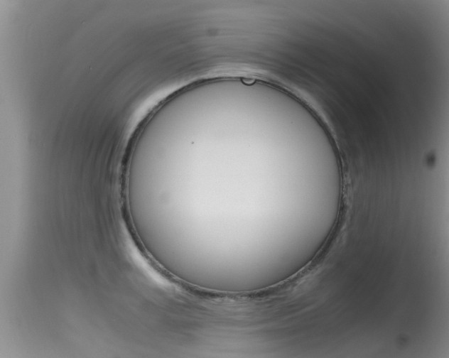 X0000115480995200911061021