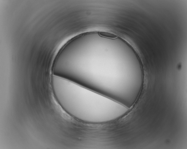 X0000115480996200911061021