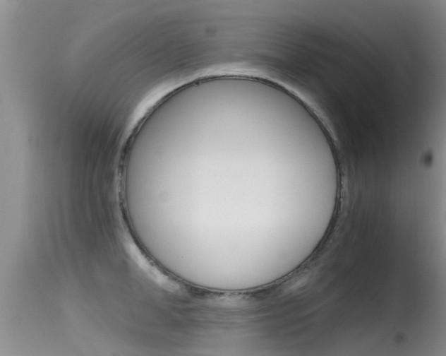 X0000115480998200911061021