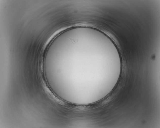 X0000115481000200911061021