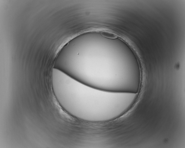 X0000115481001200911061021