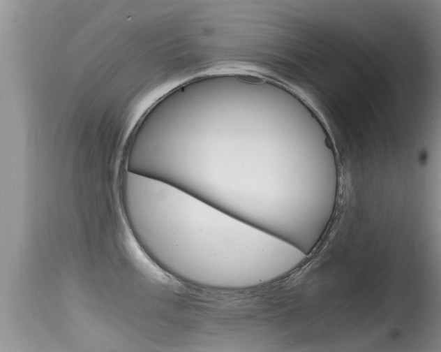 X0000115481003200911061020
