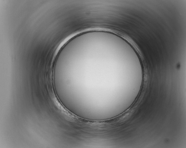 X0000115481004200911061020