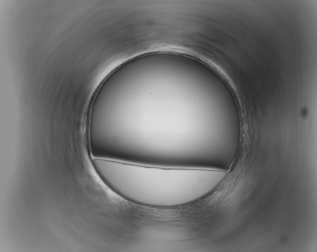 X0000115481007200911061020