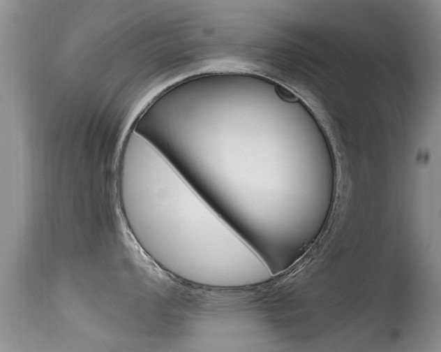X0000115481008200911061020