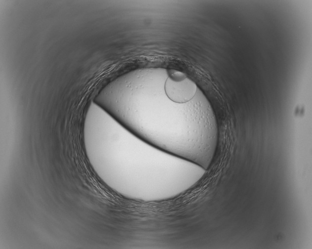 X0000115481009200911061020