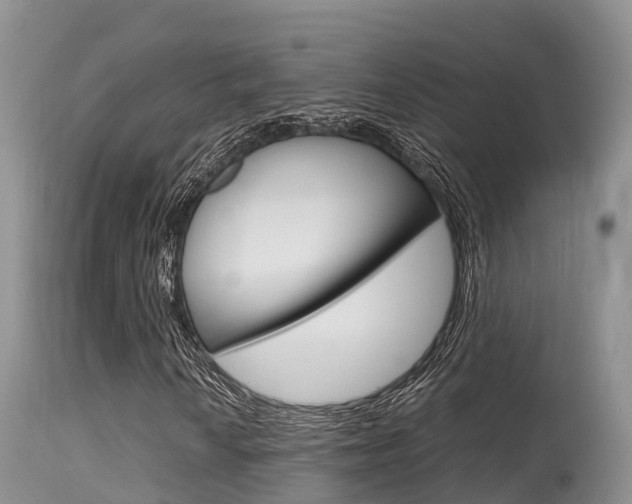 X0000115481010200911061020