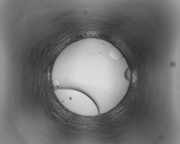 X0000115481011200911061020