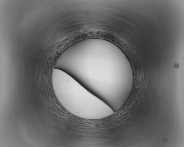 X0000115481013200911061020