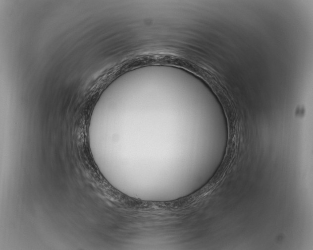 X0000115481014200911061020