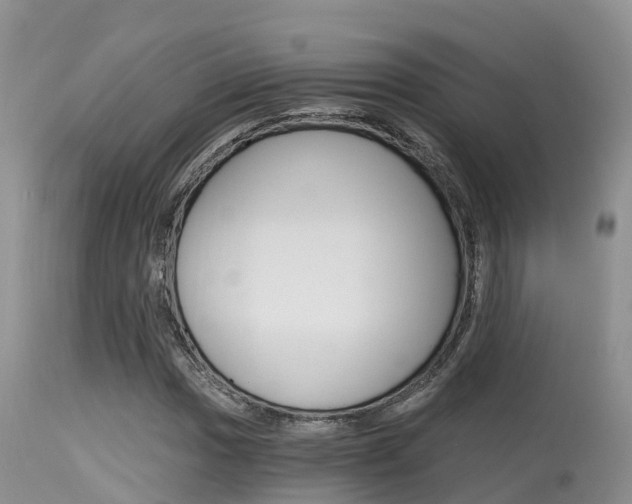 X0000115481017200911061020
