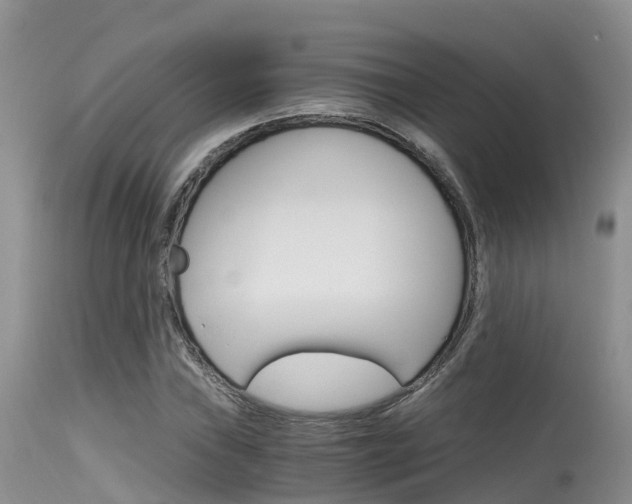 X0000115481019200911061020