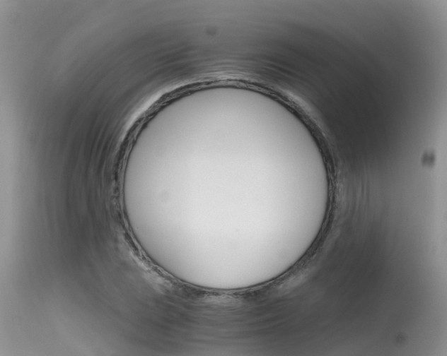 X0000115481023200911061020