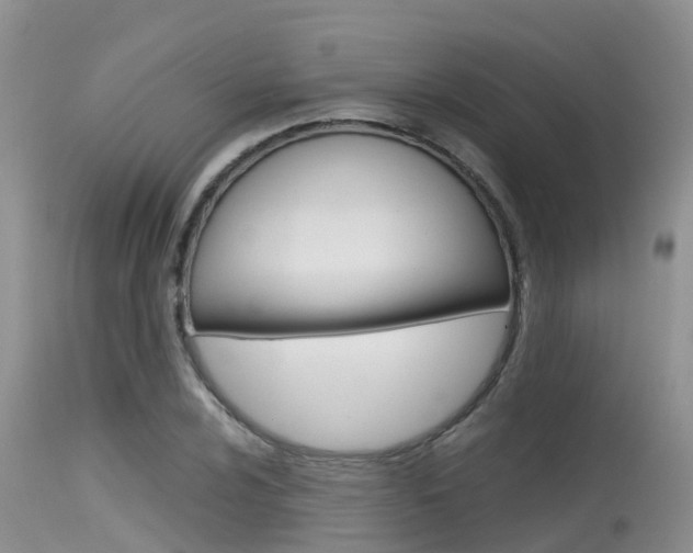 X0000115481024200911061020
