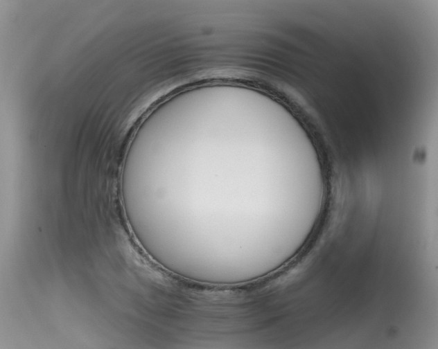 X0000115481025200911061020