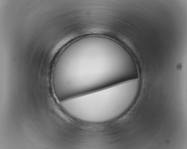X0000115481026200911061020