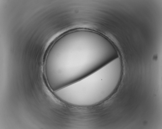 X0000115481028200911061020