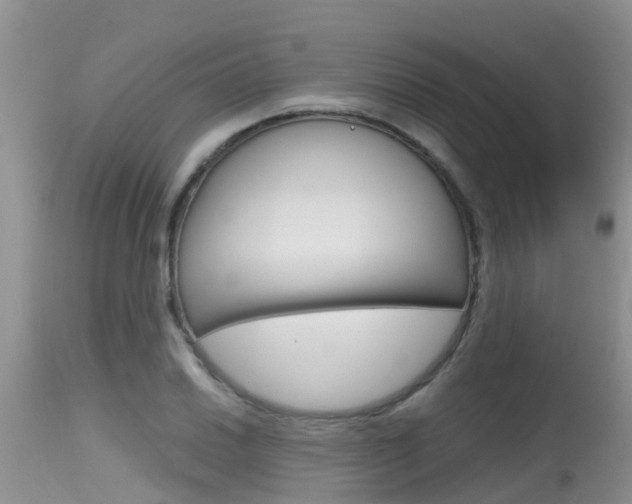 X0000115481030200911061020