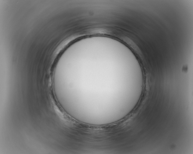 X0000115481031200911061020