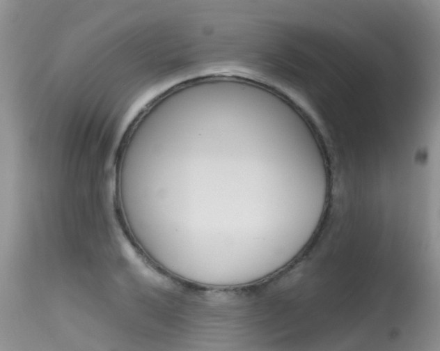 X0000115481032200911061020