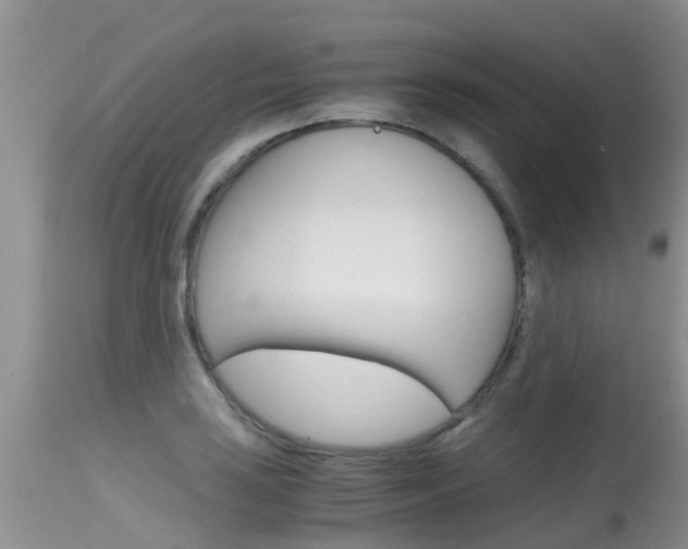 X0000115481035200911061020
