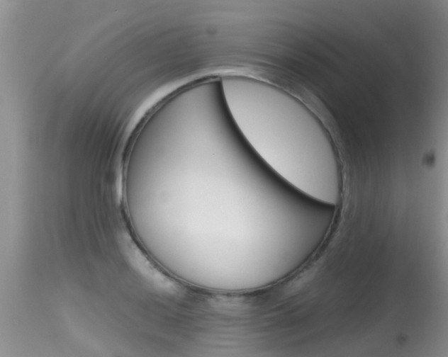 X0000115481036200911061020
