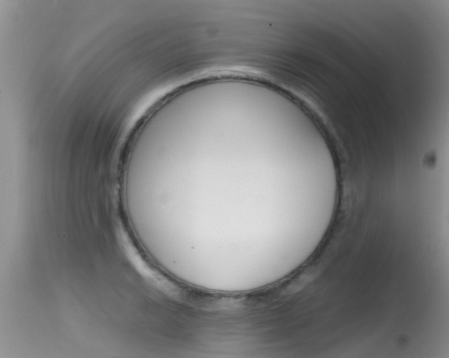 X0000115481038200911061020