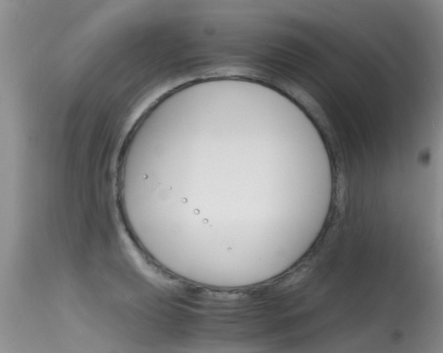 X0000115481039200911061020