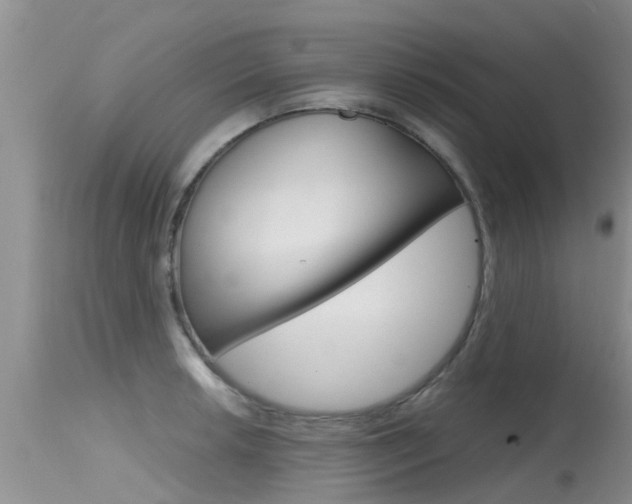 X0000115481042200911061020