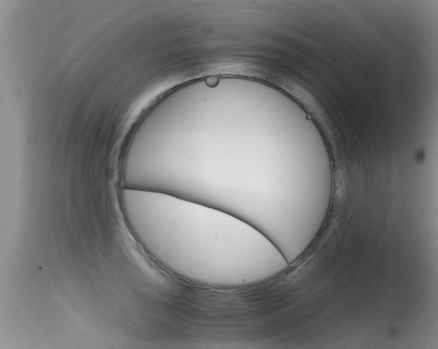 X0000115481043200911061020