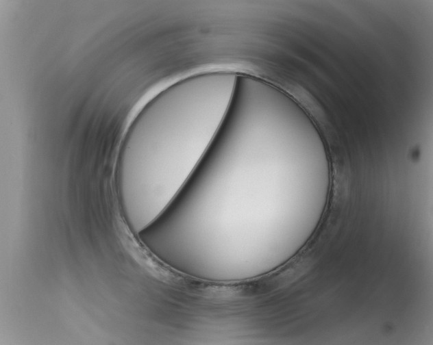 X0000115481044200911061020