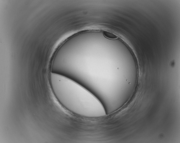 X0000115481045200911061020