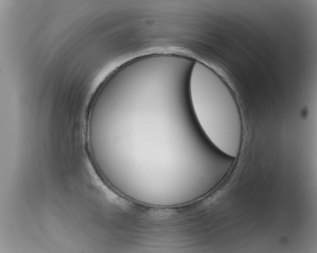 X0000115481046200911061020